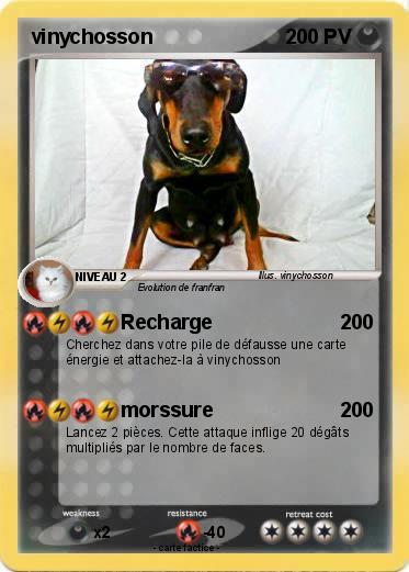 Pokemon vinychosson