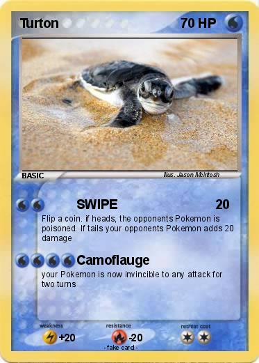 Pokemon Turton