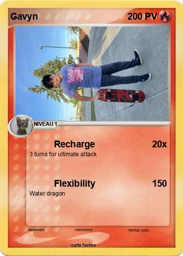 Pokemon Gavyn