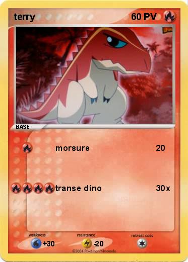 Pokemon terry