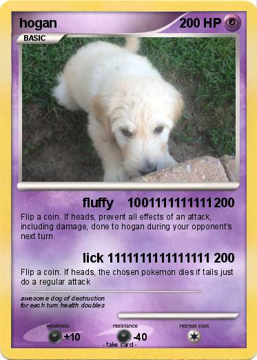 Pokemon hogan
