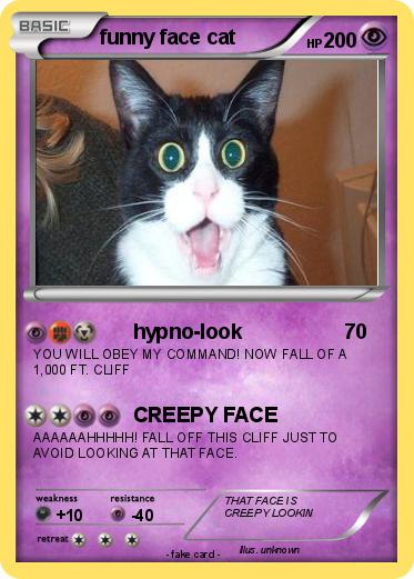 Pokemon funny face cat