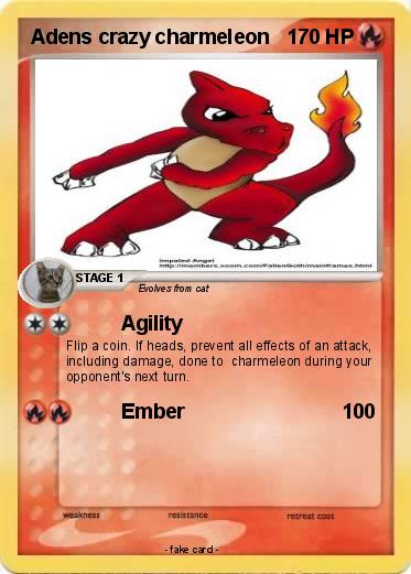 Pokemon Adens crazy charmeleon