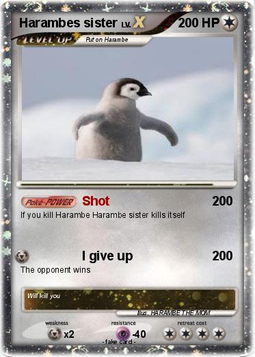 Pokemon Harambes sister