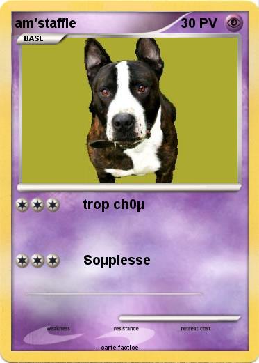 Pokemon am'staffie