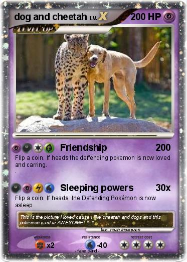 Pokemon dog and cheetah