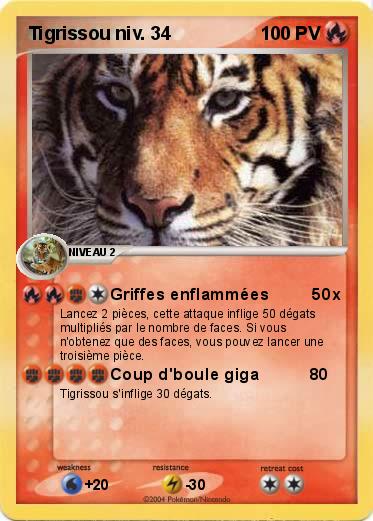 Pokemon Tigrissou niv. 34
