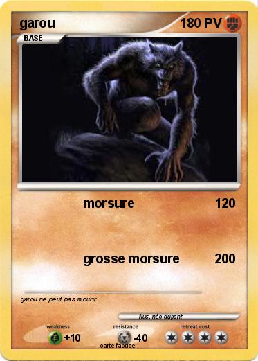 Pokemon garou