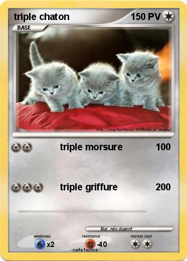 Pokemon triple chaton