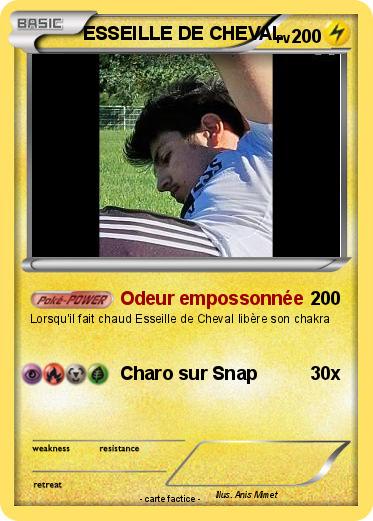 Pokemon ESSEILLE DE CHEVAL