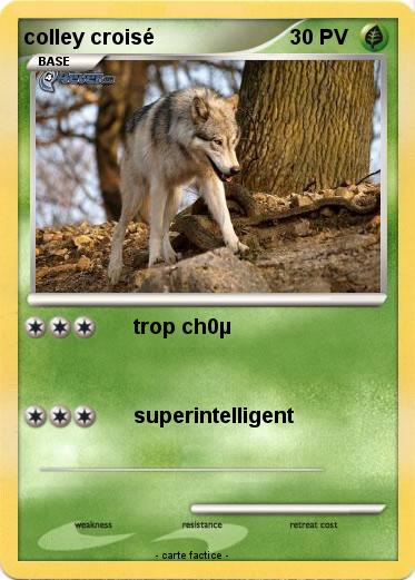 Pokemon colley croisé