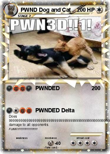 Pokemon PWND Dog and Cat