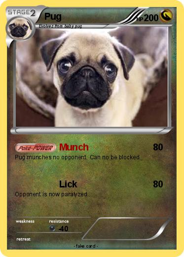 Pokemon Pug