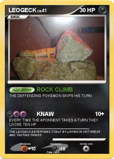 Pokemon LEOGECK