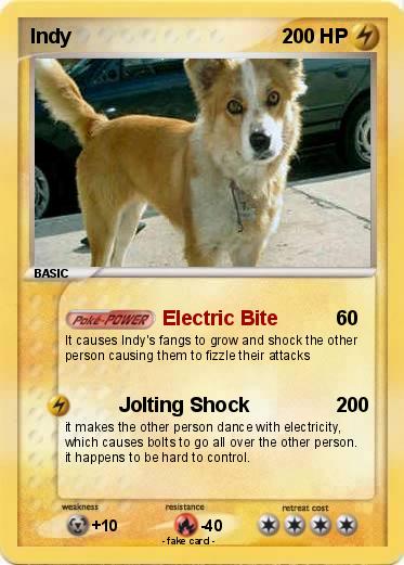 Pokemon Indy