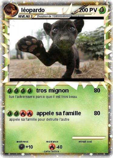 Pokemon léopardo