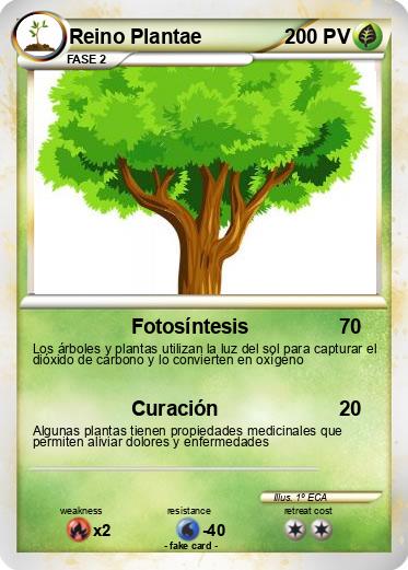 Pokemon Reino Plantae