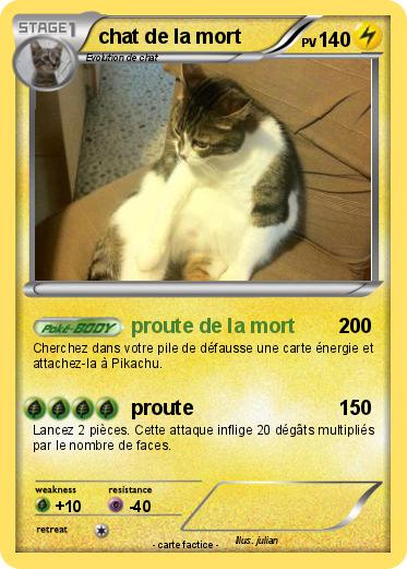Pokemon chat de la mort