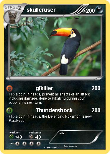Pokemon skullcruser