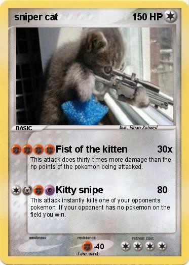 Pokemon sniper cat