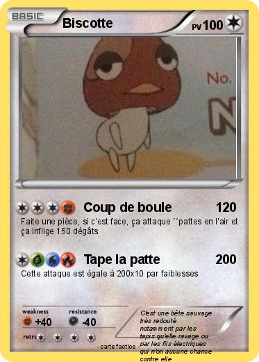 Pokemon Biscotte