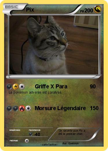 Pokemon Pix