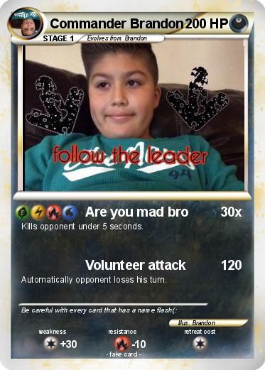 Pokemon Commander Brandon