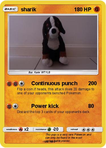 Pokemon sharik
