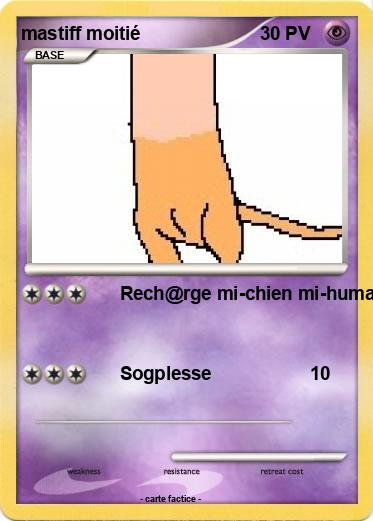 Pokemon mastiff moitié