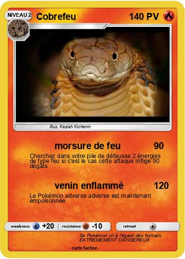 Pokemon Cobrefeu
