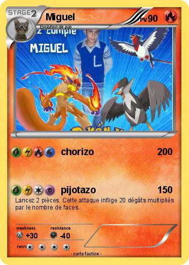 Pokemon Miguel