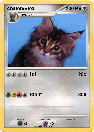 Pokemon chaton