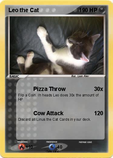 Pokemon Leo the Cat