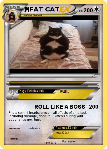 Pokemon FAT CAT
