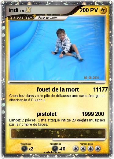 Pokemon indi