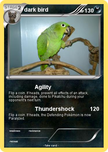 Pokemon dark bird