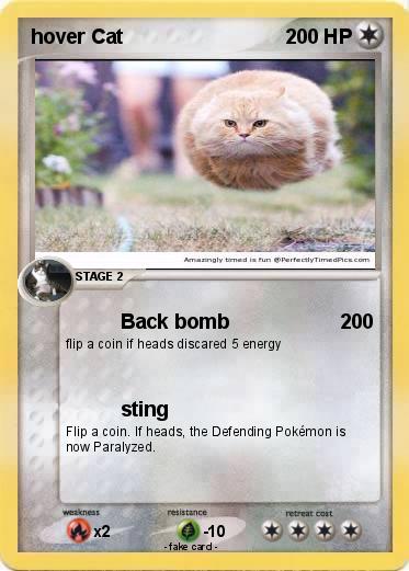 Pokemon hover Cat