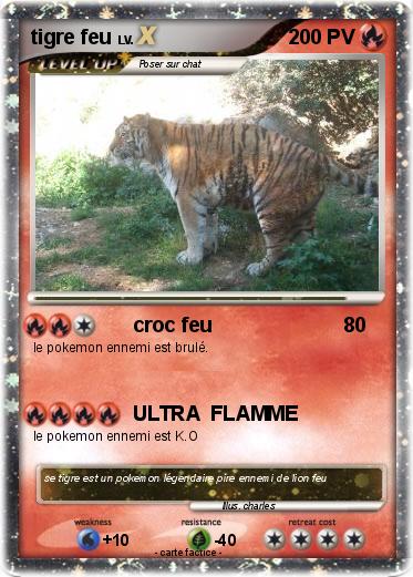 Pokemon tigre feu