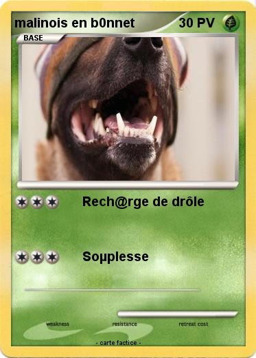 Pokemon malinois en b0nnet