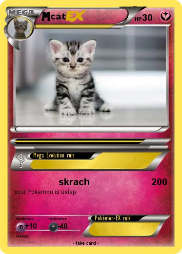 Pokemon cat