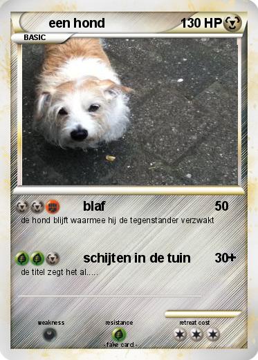 Pokemon een hond