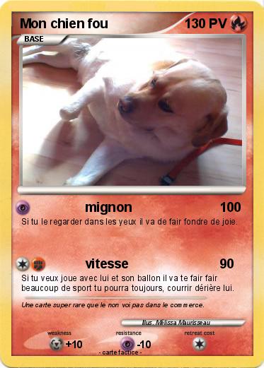 Pokemon Mon chien fou