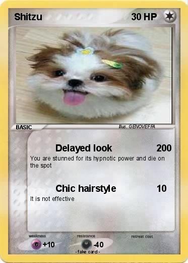 Pokemon Shitzu