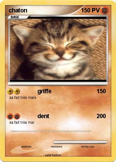 Pokemon chaton
