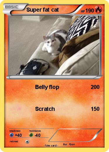 Pokemon Super fat cat