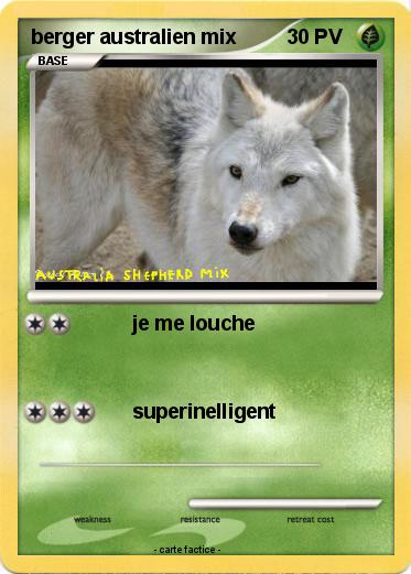 Pokemon berger australien mix