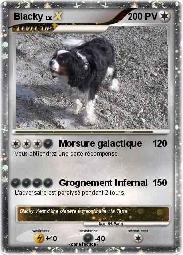 Pokemon Blacky