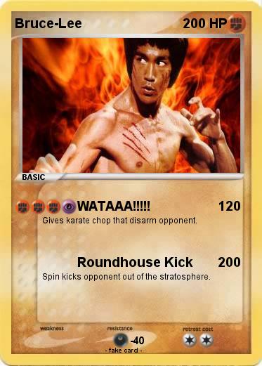 Pokemon Bruce-Lee