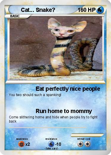 Pokemon Cat... Snake?