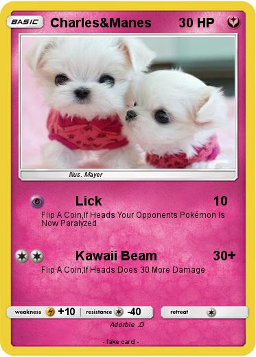 Pokemon Charles&Manes